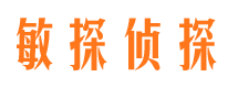 陆川侦探